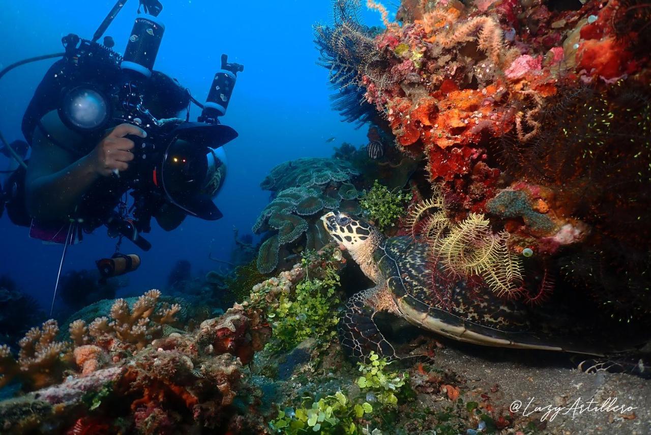 La Tortue Diving
