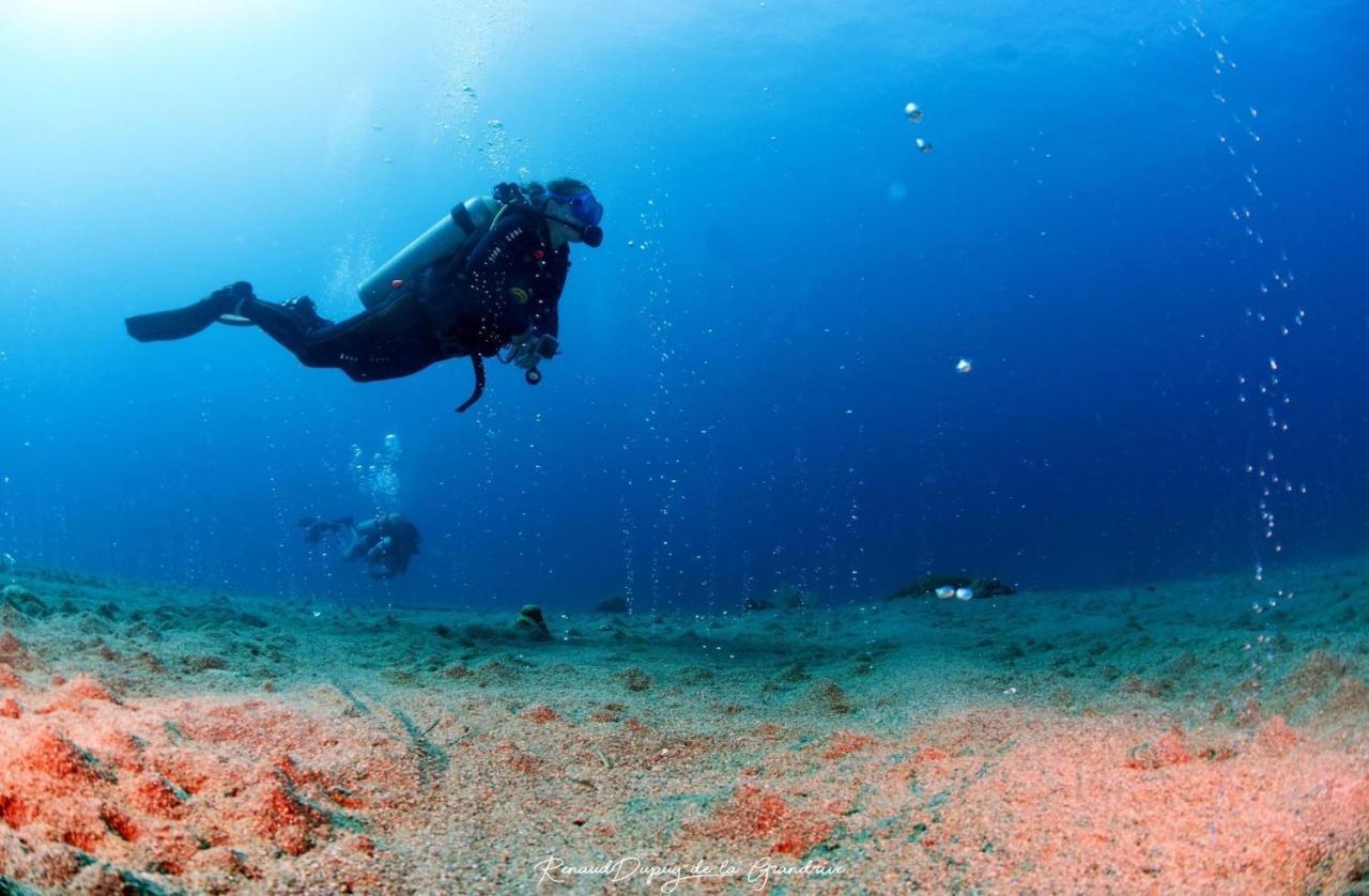 La Tortue Diving Hostel